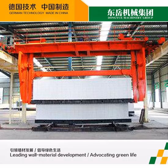 Donyue AAC Light Weight Brick Production Plant