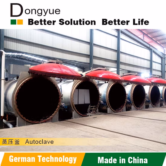 Donyue AAC Light Weight Brick Production Plant