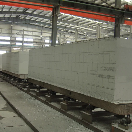 Stand Seaworthy Packing Made in China Light Block AAC Brick Machine