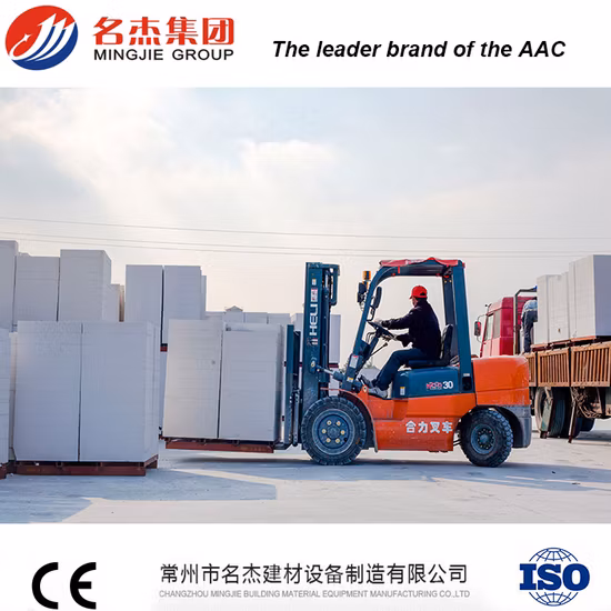 Environmental AAC Block Plant AAC Block Production Line